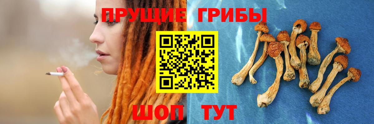 Псилоцибиновые грибы MAGIC MUSHROOMS Рыбинск